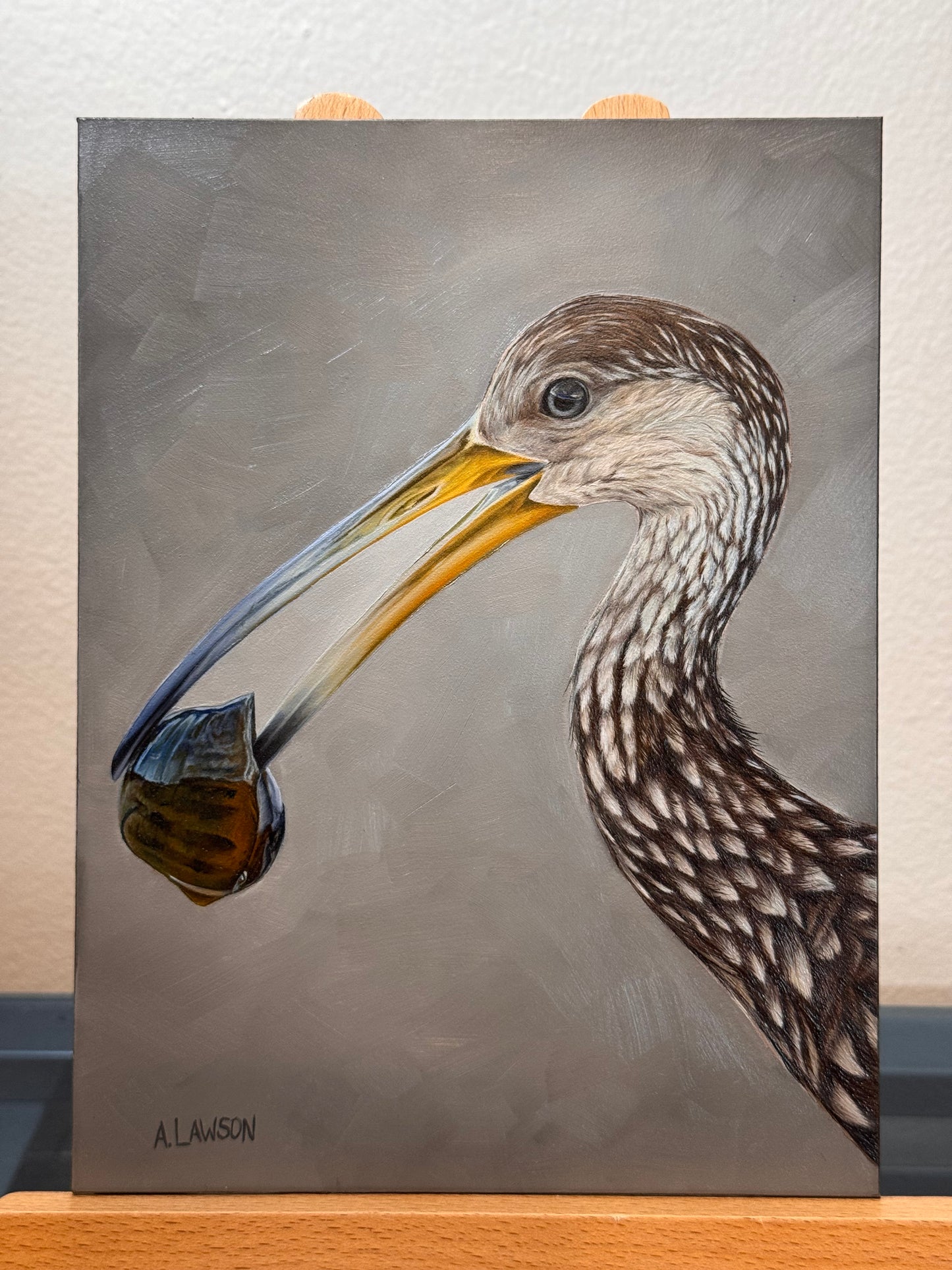 Limpkin - ORIGINAL