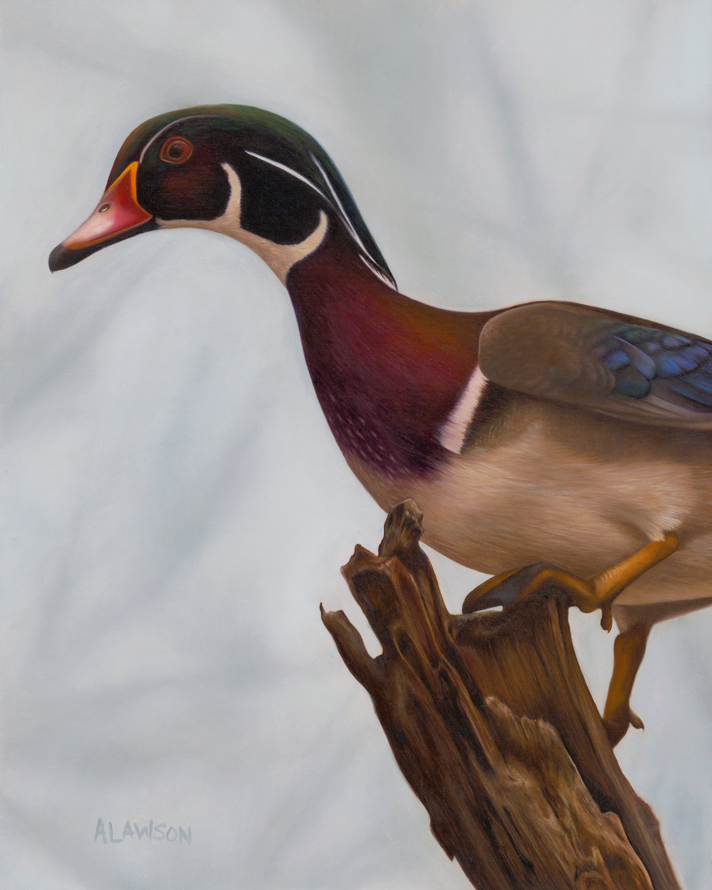 FOGGY TIMBER - Limited Edition Print