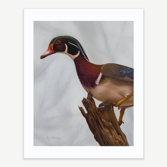 FOGGY TIMBER - Limited Edition Print